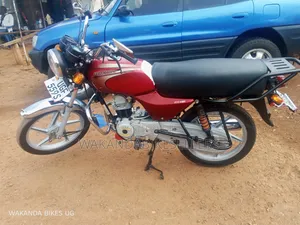 Bajaj Boxer 100 2024 Red