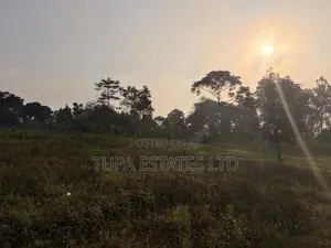 Land for Sale at Kabembe