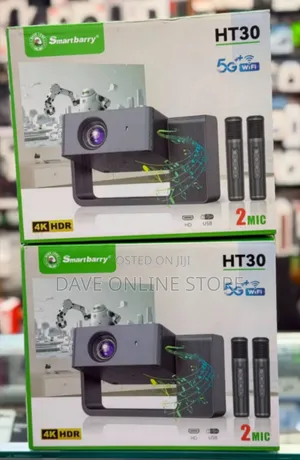Smartbarry HT30 With 2 Mic Projector