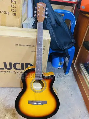 Electrical Guitar