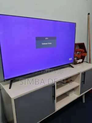 Globalstar 43 Inch