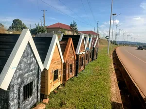 House Dog Uganda