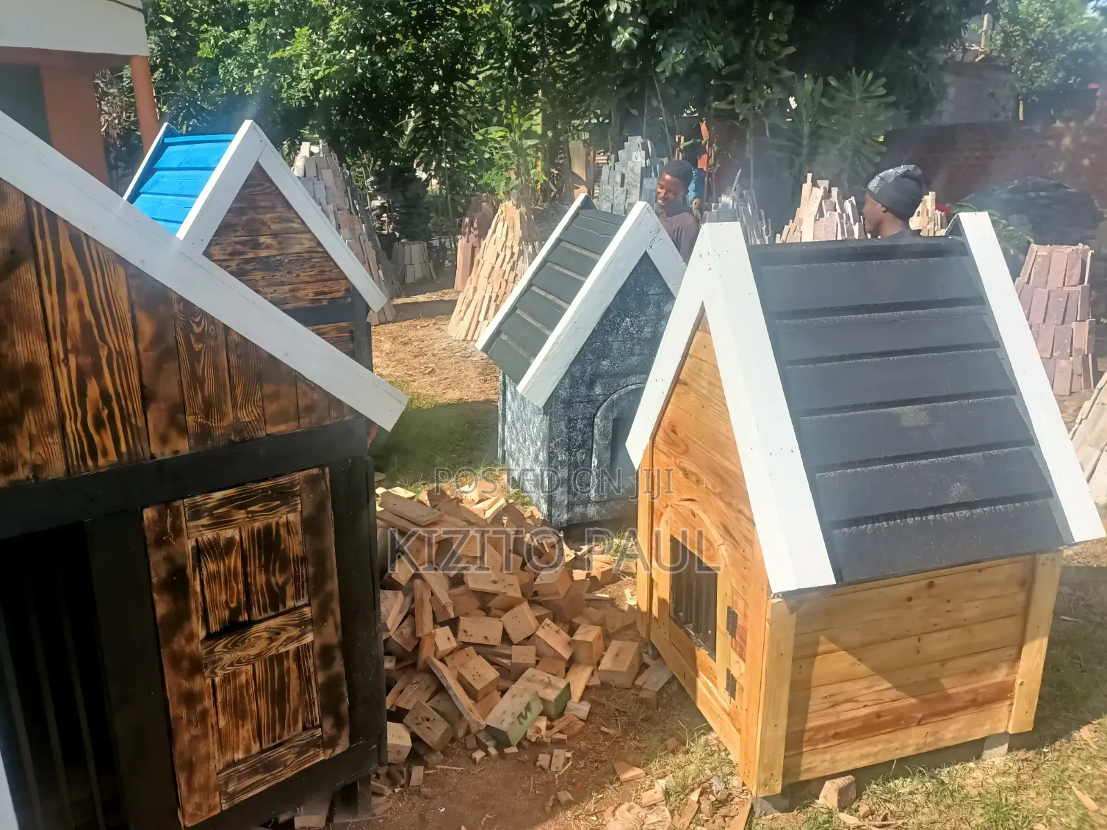 House Dog Uganda