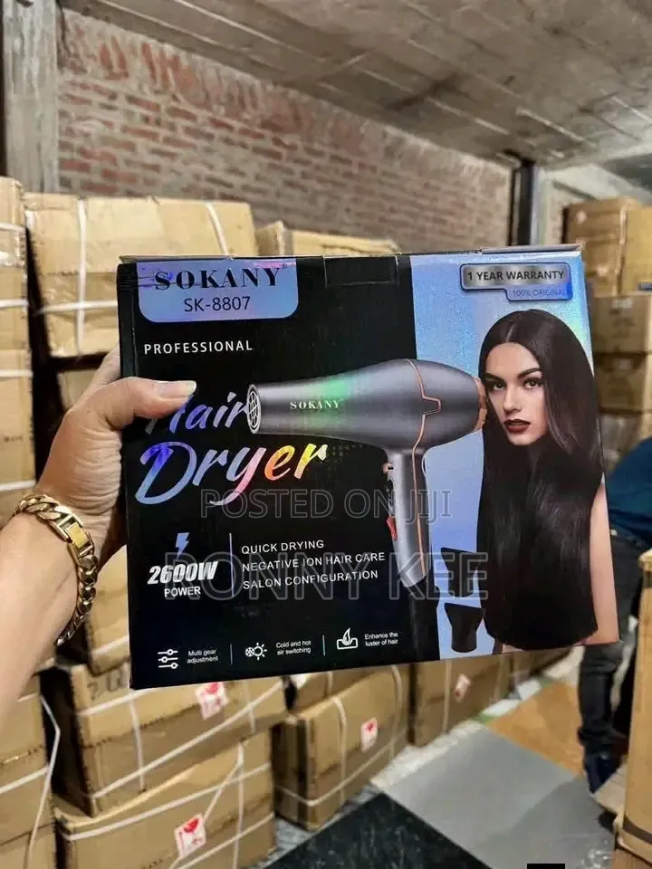 Sk-8807 Hair Dryer