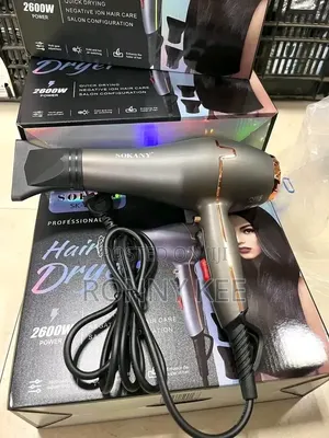 Sk-8807 Hair Dryer