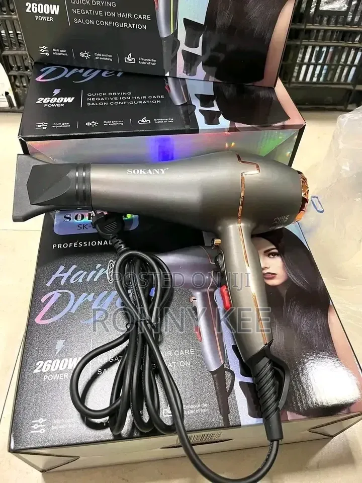 Sk-8807 Hair Dryer