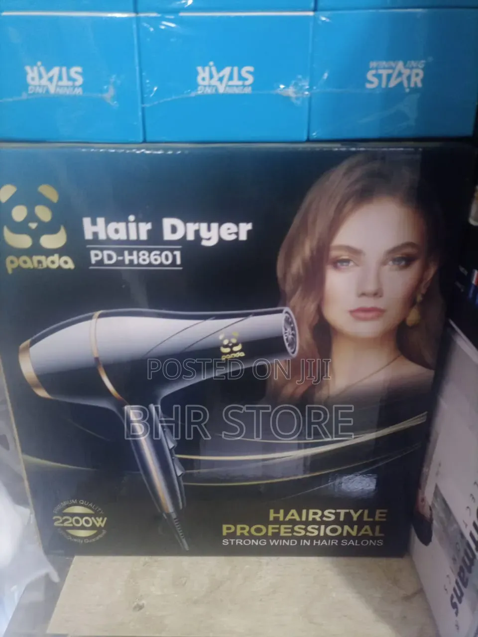 Pand Hair Dryer