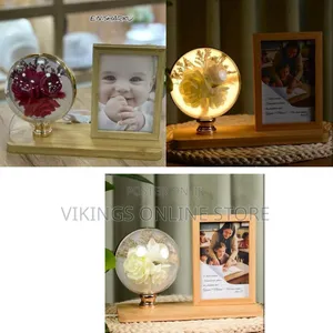 Home Decor Essentials LED Photo Frame With Illuminated Floral Globe
