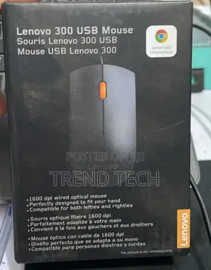 Lenovo 300 USB Mouse