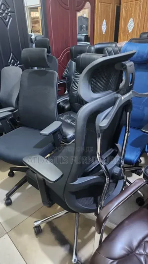 Executive Ergonomic Chair With a Coat Hanger
