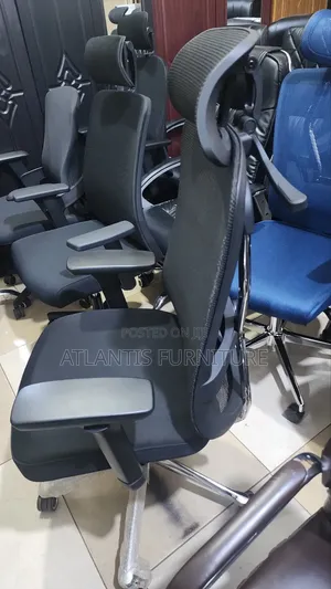 Executive Ergonomic Chair With a Coat Hanger