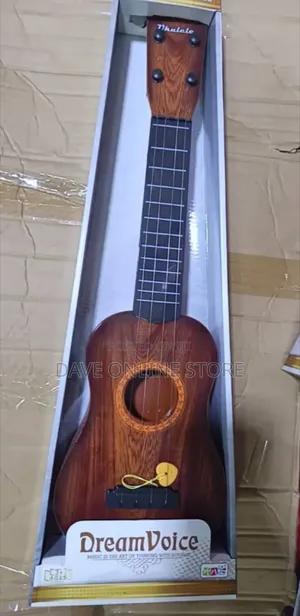 Dream Voice Kids Guitar