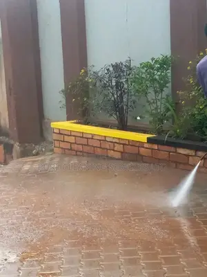 Paver Cleaning