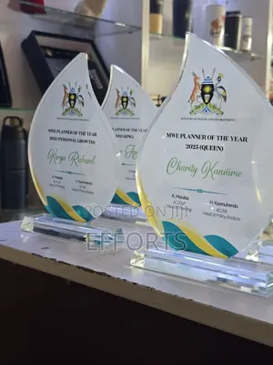 Awards and Accolades