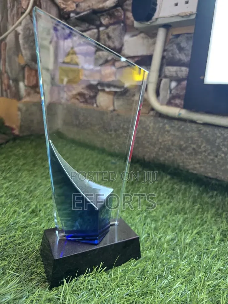 Awards and Accolades