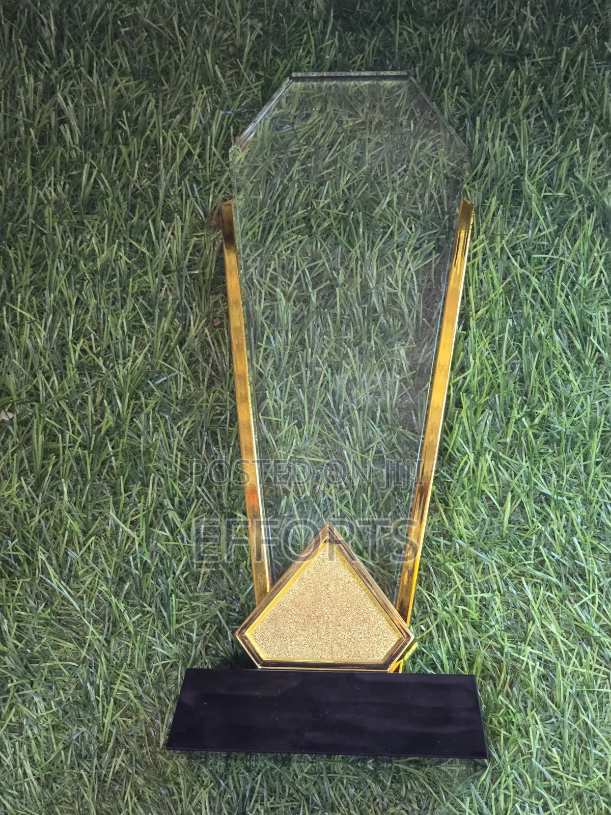 Awards and Accolades
