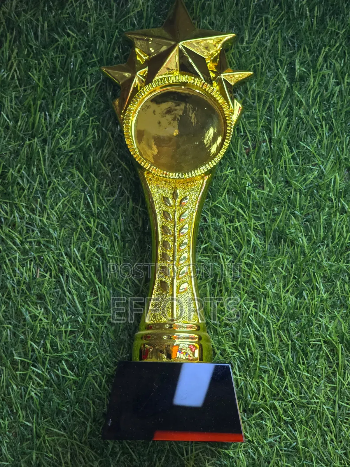 Awards and Accolades