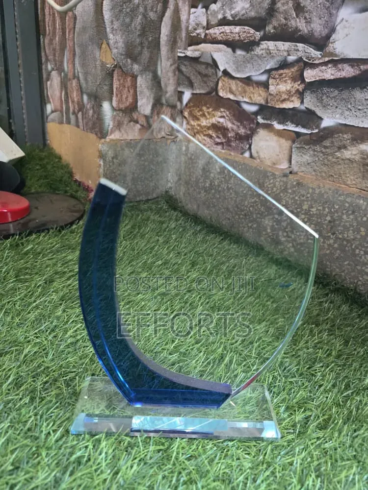 Awards and Accolades