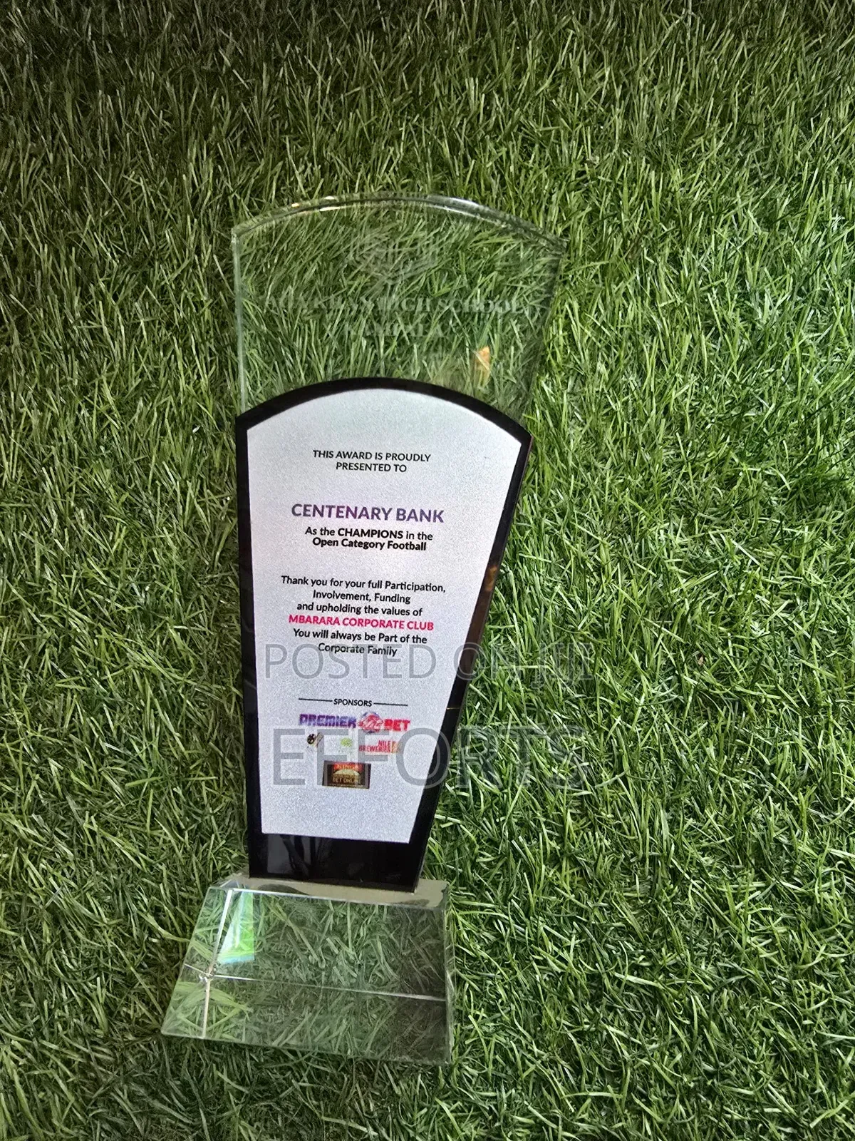 Awards and Accolades