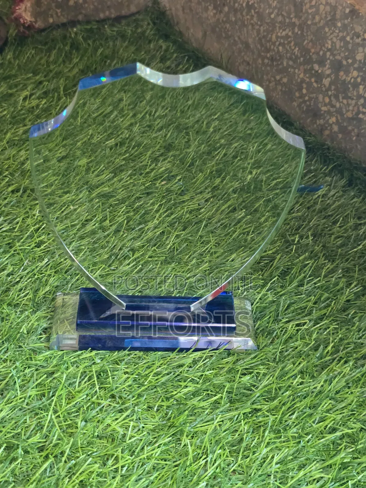 Awards and Accolades