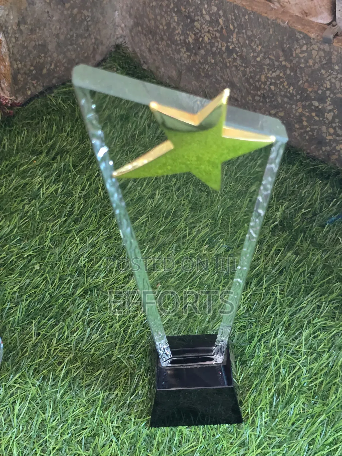 Awards and Accolades