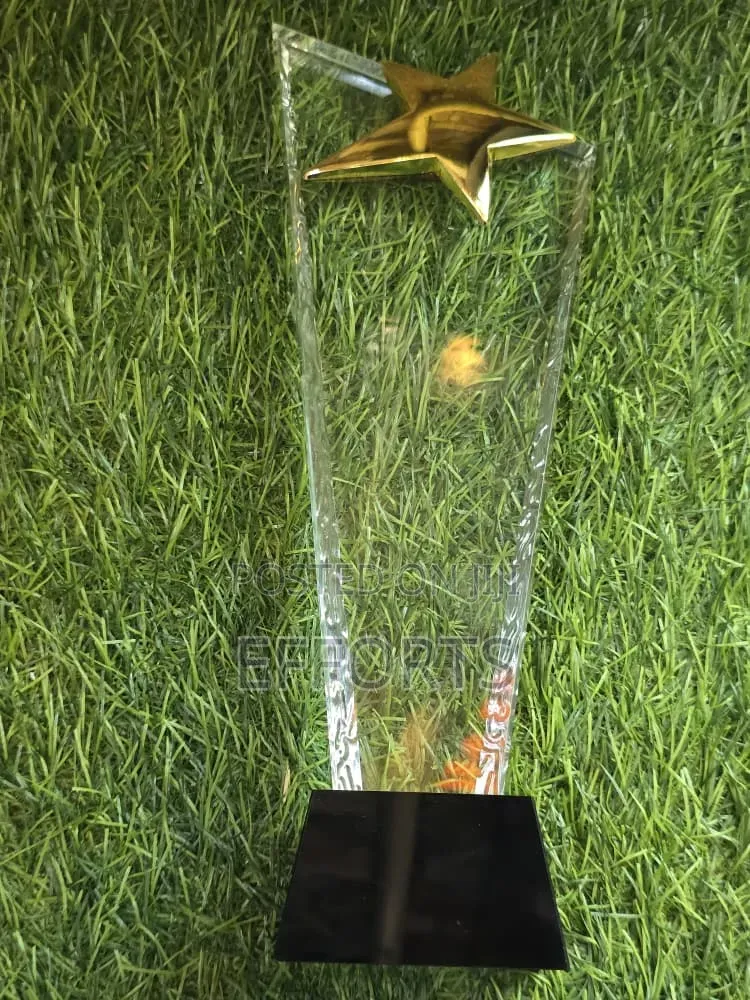 Awards and Accolades