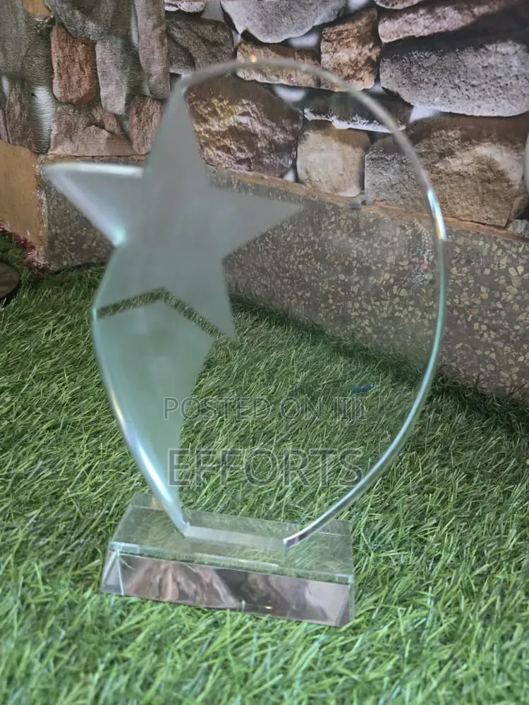 Awards and Accolades