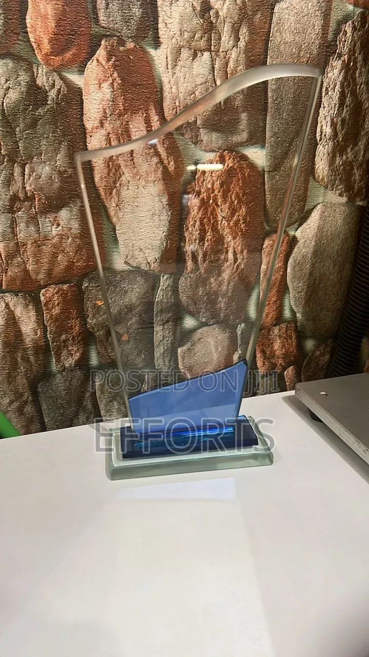 Awards and Accolades