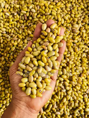 Yellow Beans