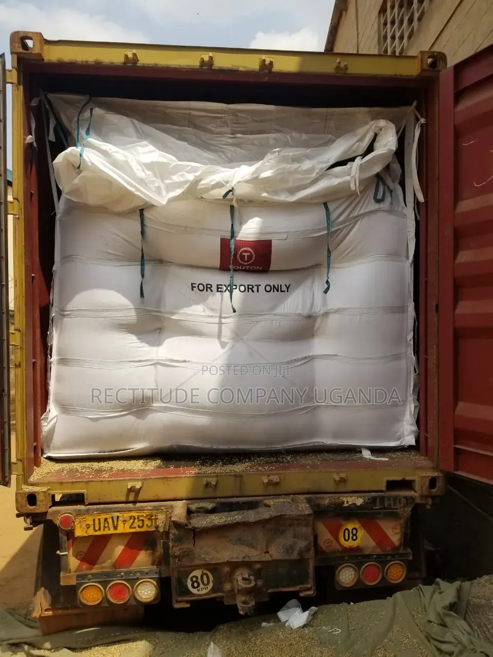 Container Liners 20ft