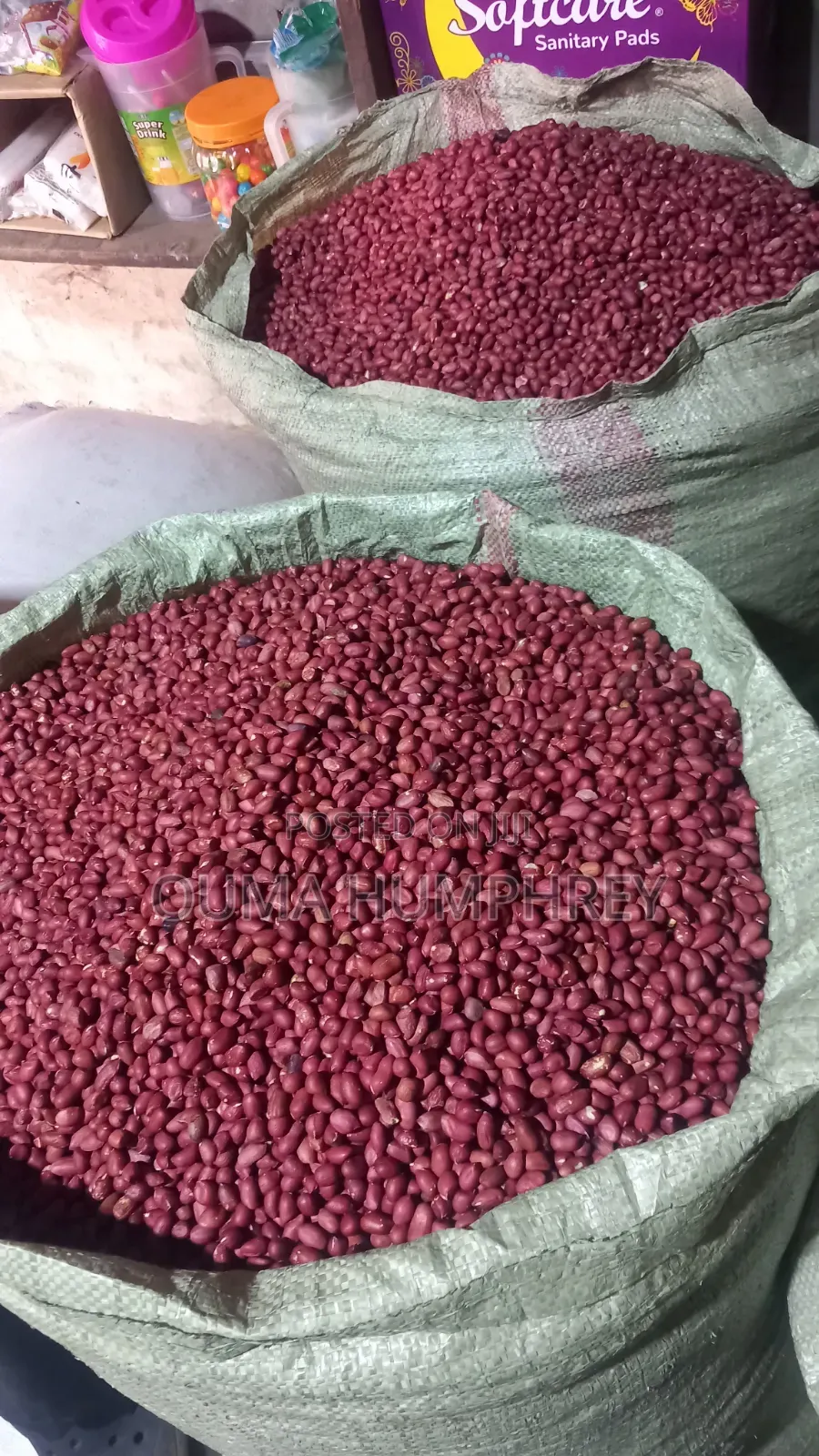 Well Sorted Ground Nuts
