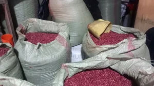 Well Sorted Ground Nuts