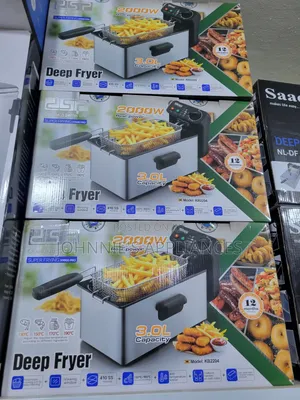3L DSP Electric Chips Fryer / Deepfryer