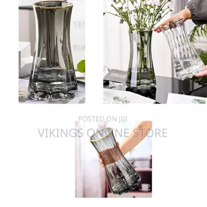 Golden Edge Hydroponic Vase for Living Room Decorations Transparent