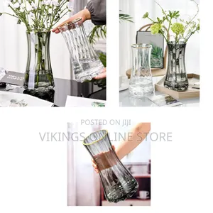 Golden Edge Hydroponic Vase for Living Room Decorations Transparent
