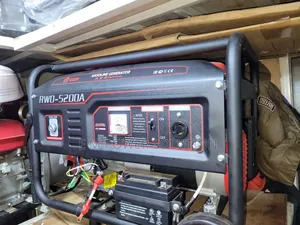 Edon Petrol Generator Key Start and Manual It Has Wells