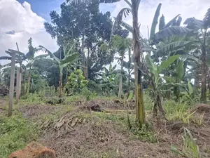 One Acre for Sale in Kiwenda 160M
