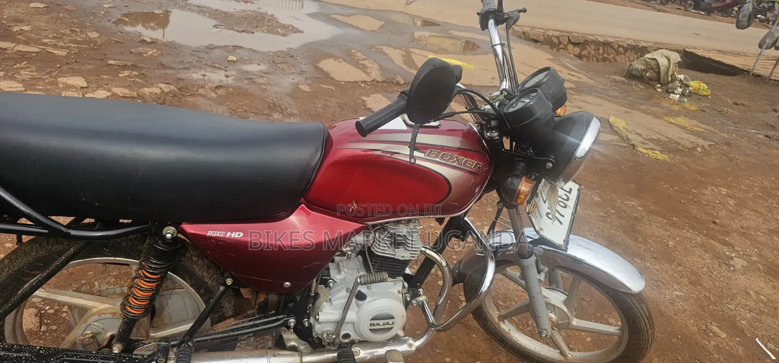 Bajaj Boxer 2026 White