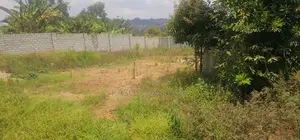 Plots for Sale
