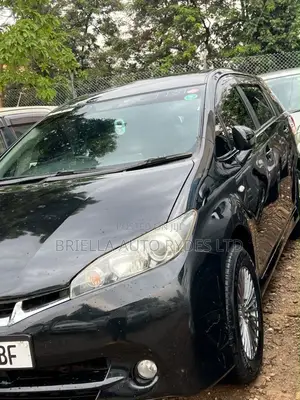Toyota Wish 2010 Black