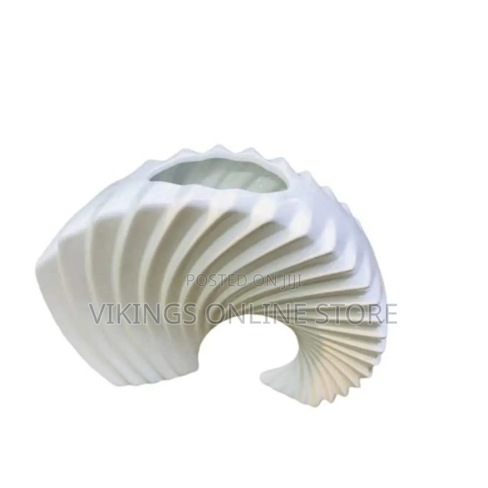 Simple and Stylish Creative Curved Shell Mix Decorative Vases