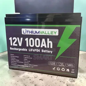 Lithium Valley 100Ah Battery – Reliable Solar Energy Storage