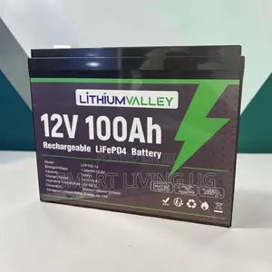 Lithium Valley 100Ah – Long-Lasting Solar Backup Battery