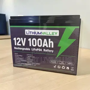 High-Performance 100Ah Lithium Valley Solar Battery
