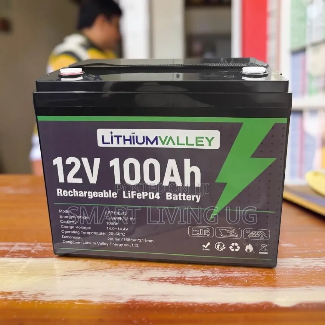 High-Performance 100Ah Lithium Valley Solar Battery