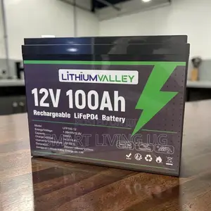 100Ah Lithium Valley Battery – Clean, Quiet Reliable Power