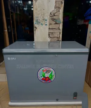 SPJ 410L Deep Freezer