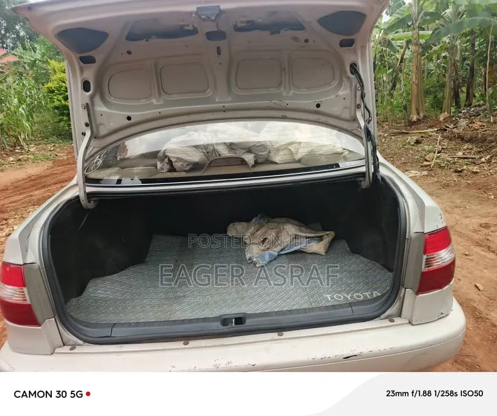 Toyota Corolla 2006 Off white