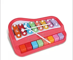 2 in 1 Musical Xylophone and Mini Piano for Kids