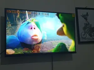 Television